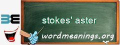 WordMeaning blackboard for stokes' aster